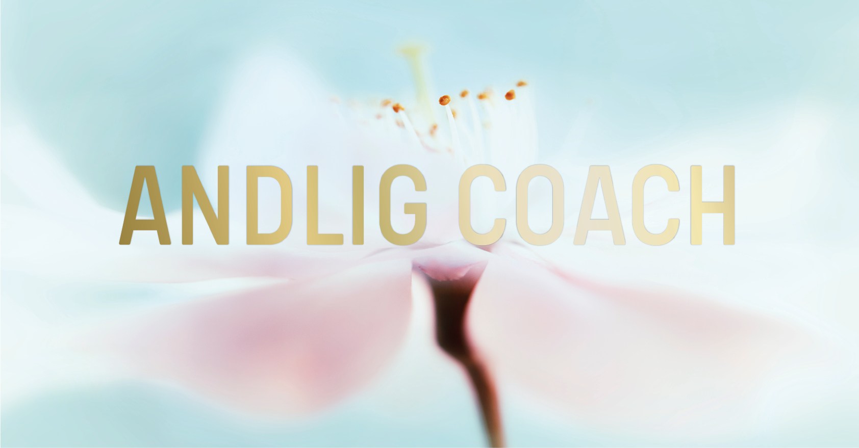 andlig coach Logo