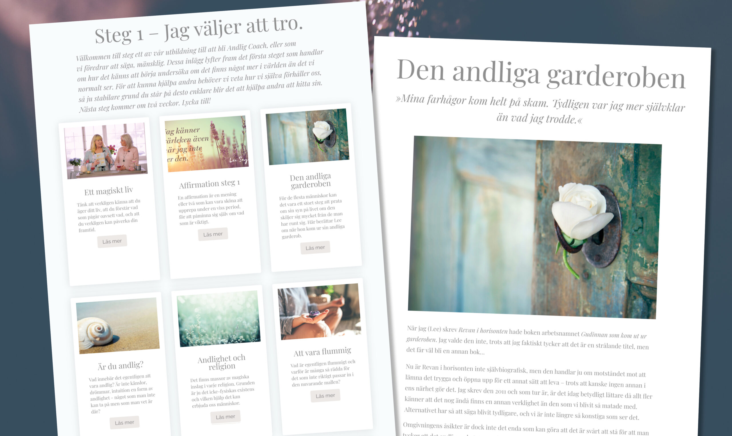 bild webbsida